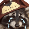 RaccoonCry