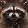 RaccoonEvil