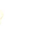 818765545813966929
