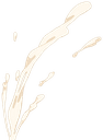 1115046478864457768