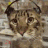 emoji_15