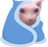 bingus