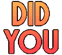 did_you