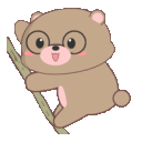 RodoeHUn3