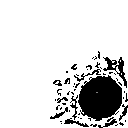 EK_Insect005