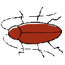 EK_Insect007