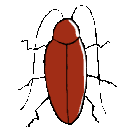 EK_Insect008