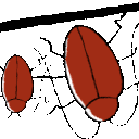 EK_Insect010