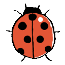 EK_Insect011