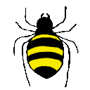 EK_Insect013