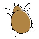 EK_Insect018