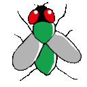 EK_Insect020