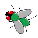 EK_Insect023