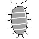 EK_Insect024