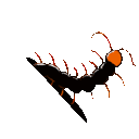 EK_Insect032