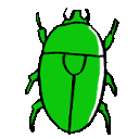 EK_Insect033