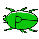 EK_Insect034
