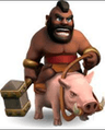 hog_rida