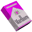 marlboro