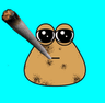 pou_blunt