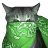 xz_green_bandacat