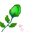 xz_green_rose