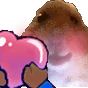 hamlove