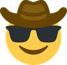 1569sunglassescowboy