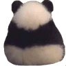 angypanda