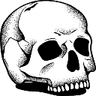 hamletskull