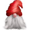 gnome