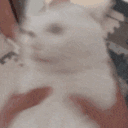 catchoke