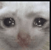 sob