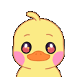duckhi