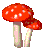 mushrooms