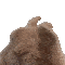 1108851916101910589