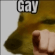 Gay