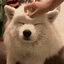 m_headscratch