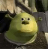 Goofy_Shrek