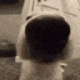 m_sniff