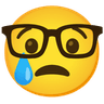 cry_nerd