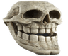 trollskullirl