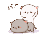 peachcat