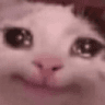 sadcat