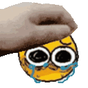 1192patsobemoji
