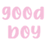 goodboy