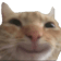 1105happycat