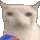 cat_eating