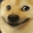 3449dogesmug