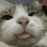 auh